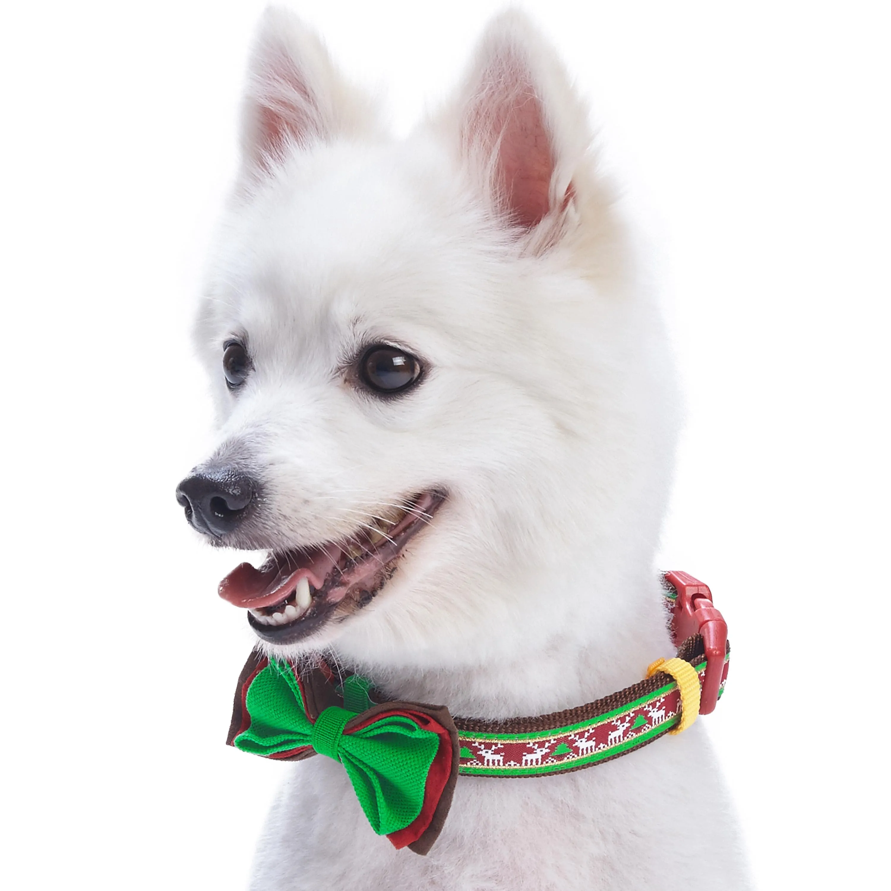 Christmas Dog Collar with Handmade Detachable Bow Tie