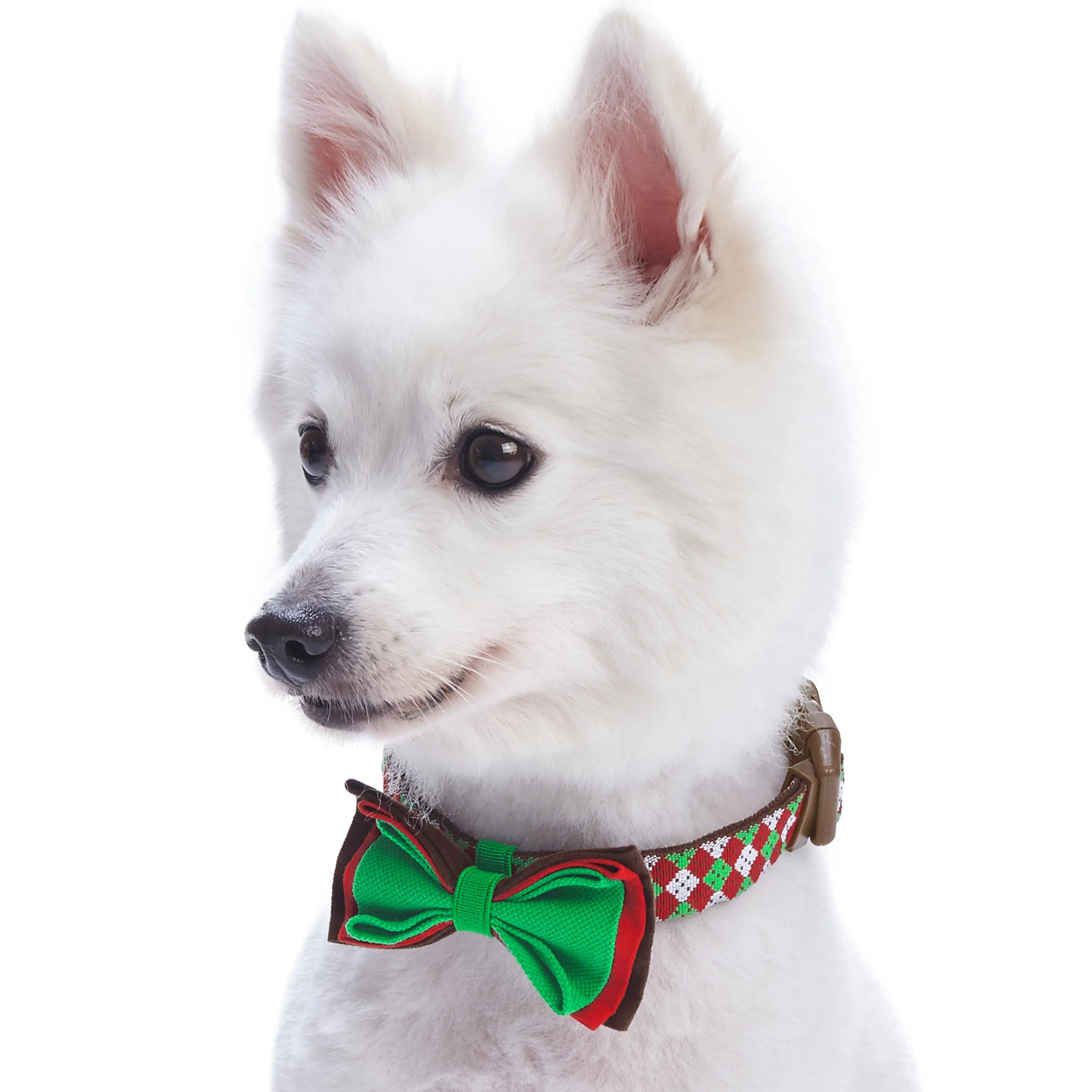 Christmas Dog Collar with Handmade Detachable Bow Tie