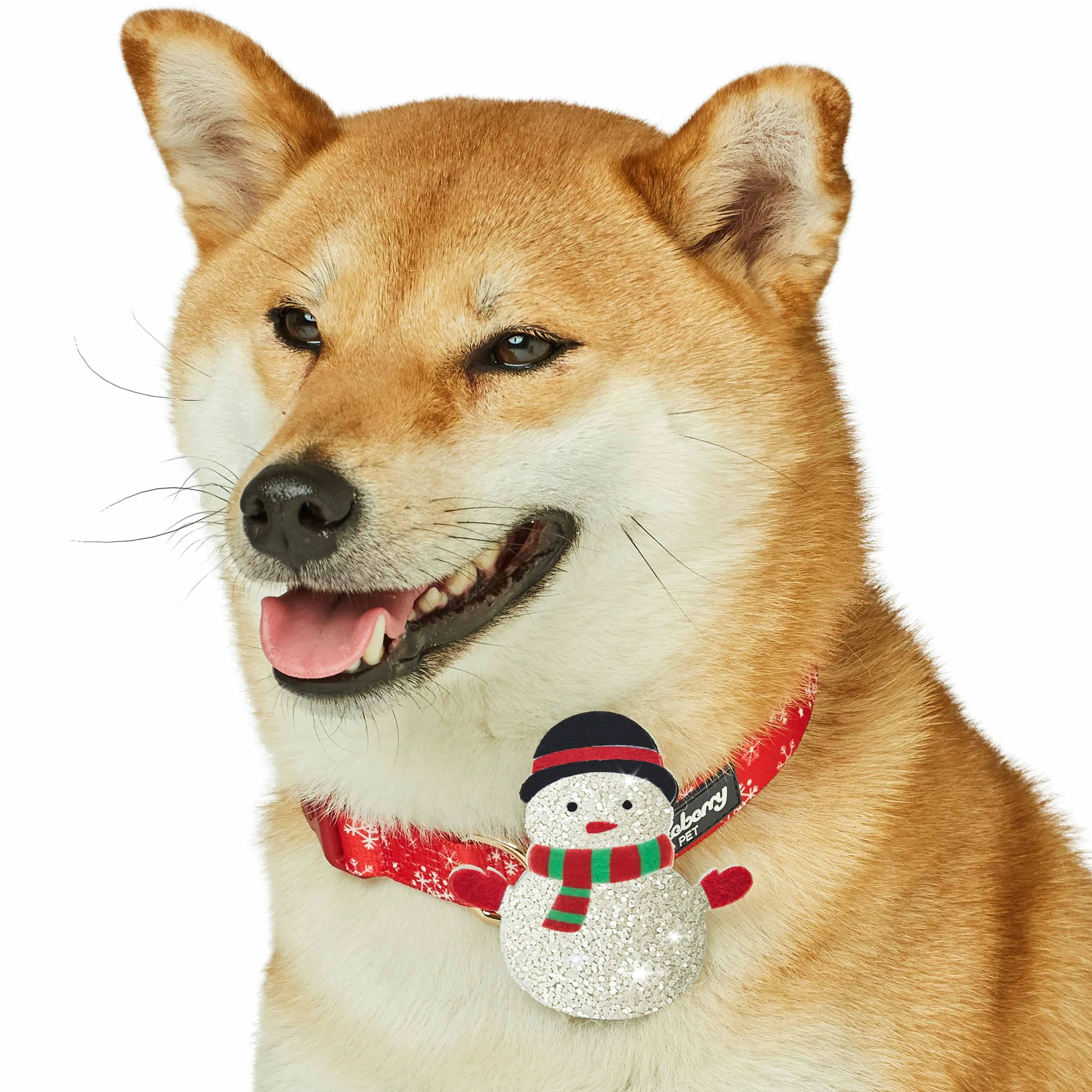 Christmas Dog Collar with Stunning Décor