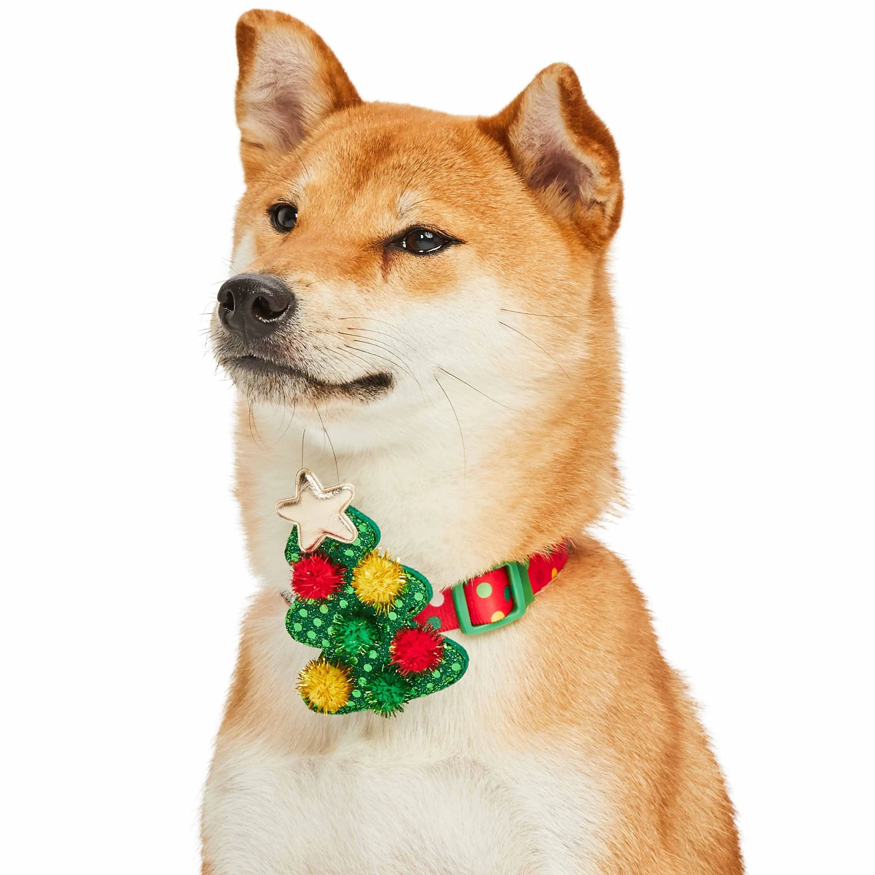 Christmas Dog Collar with Stunning Décor