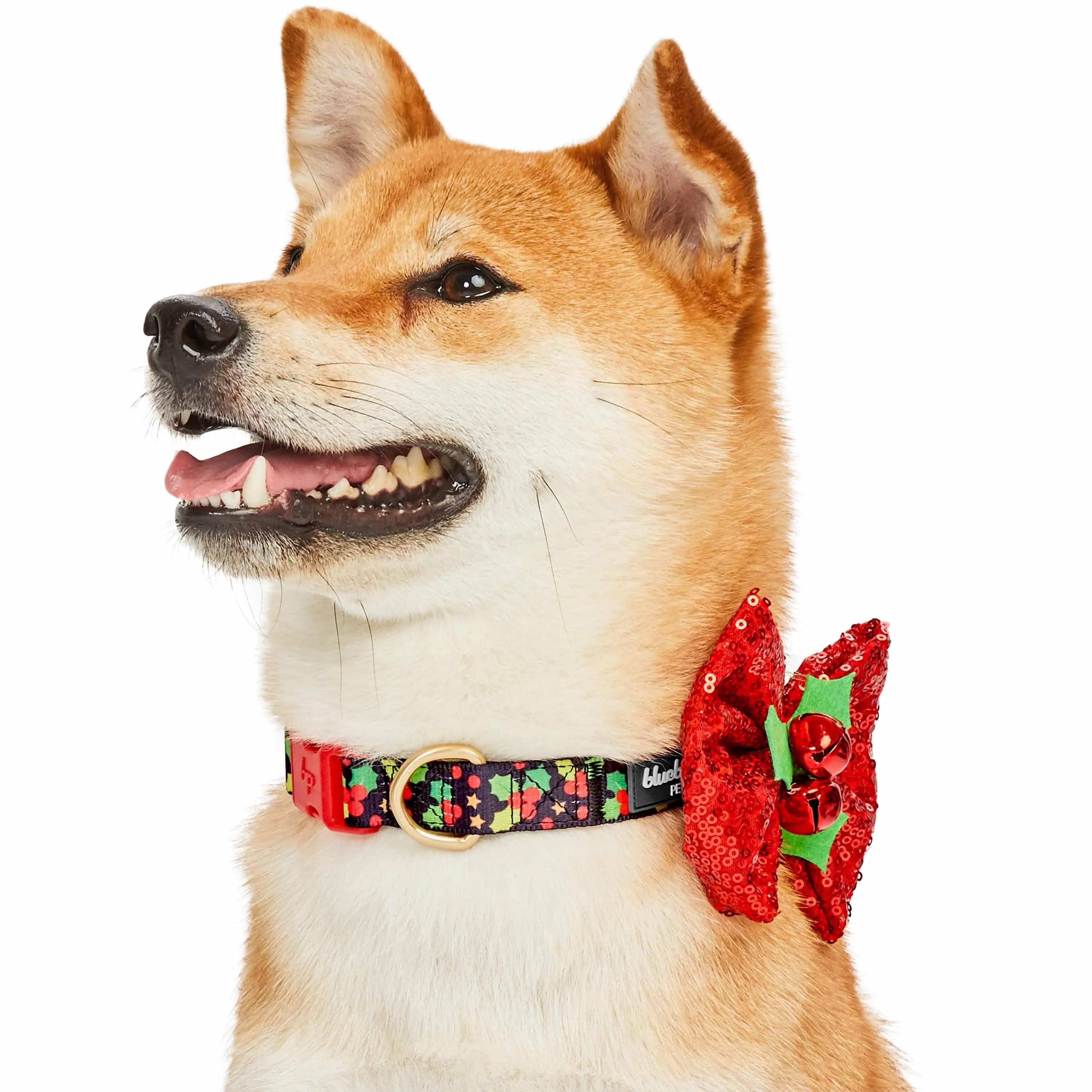 Christmas Dog Collar with Stunning Décor