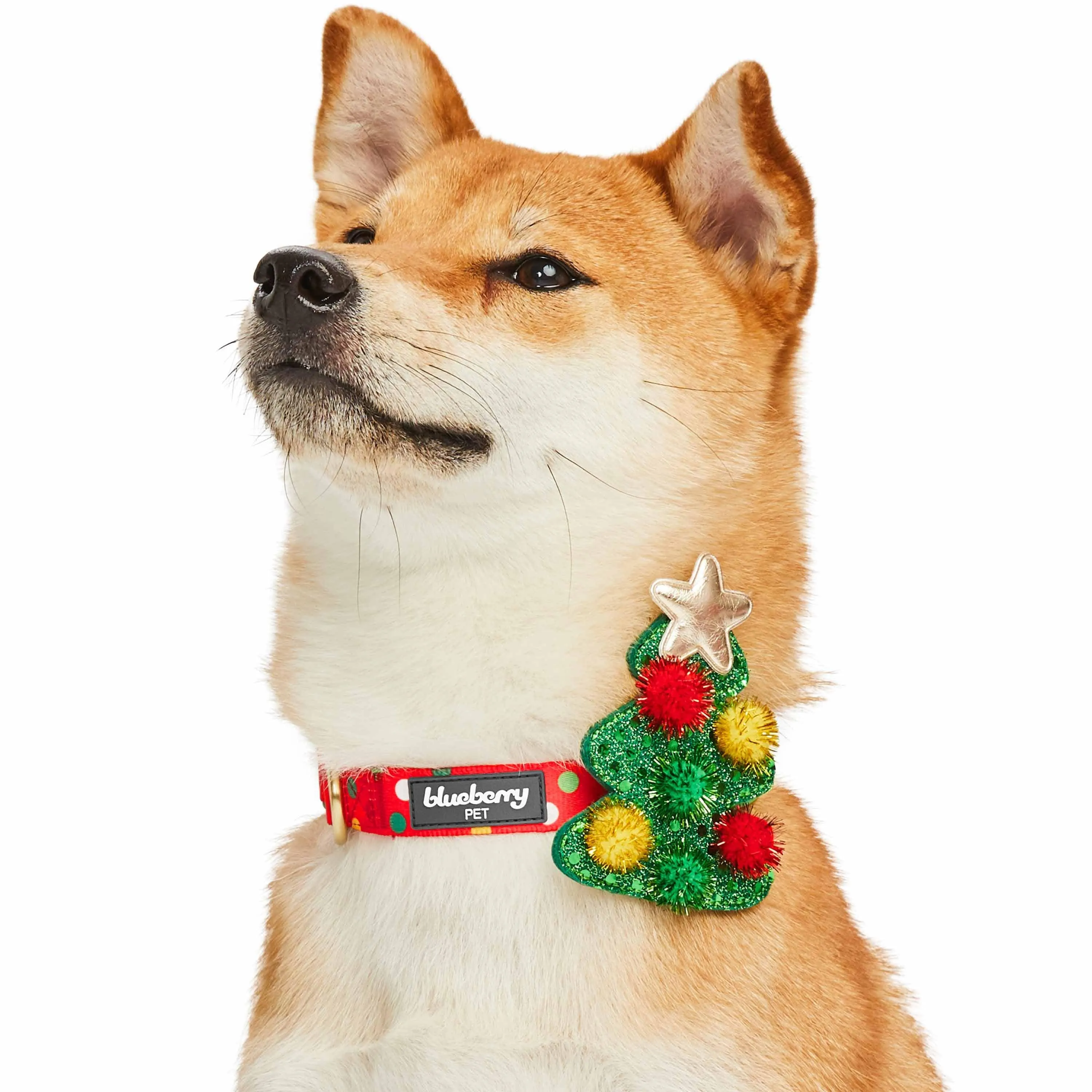 Christmas Dog Collar with Stunning Décor