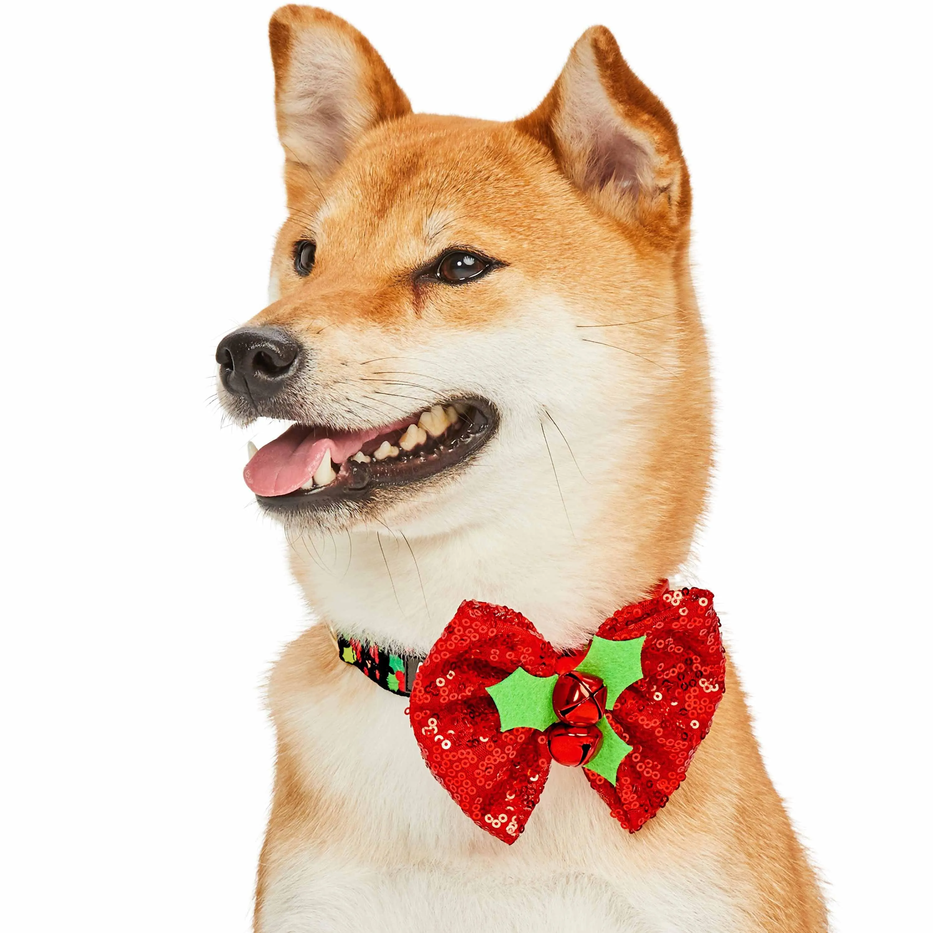 Christmas Dog Collar with Stunning Décor