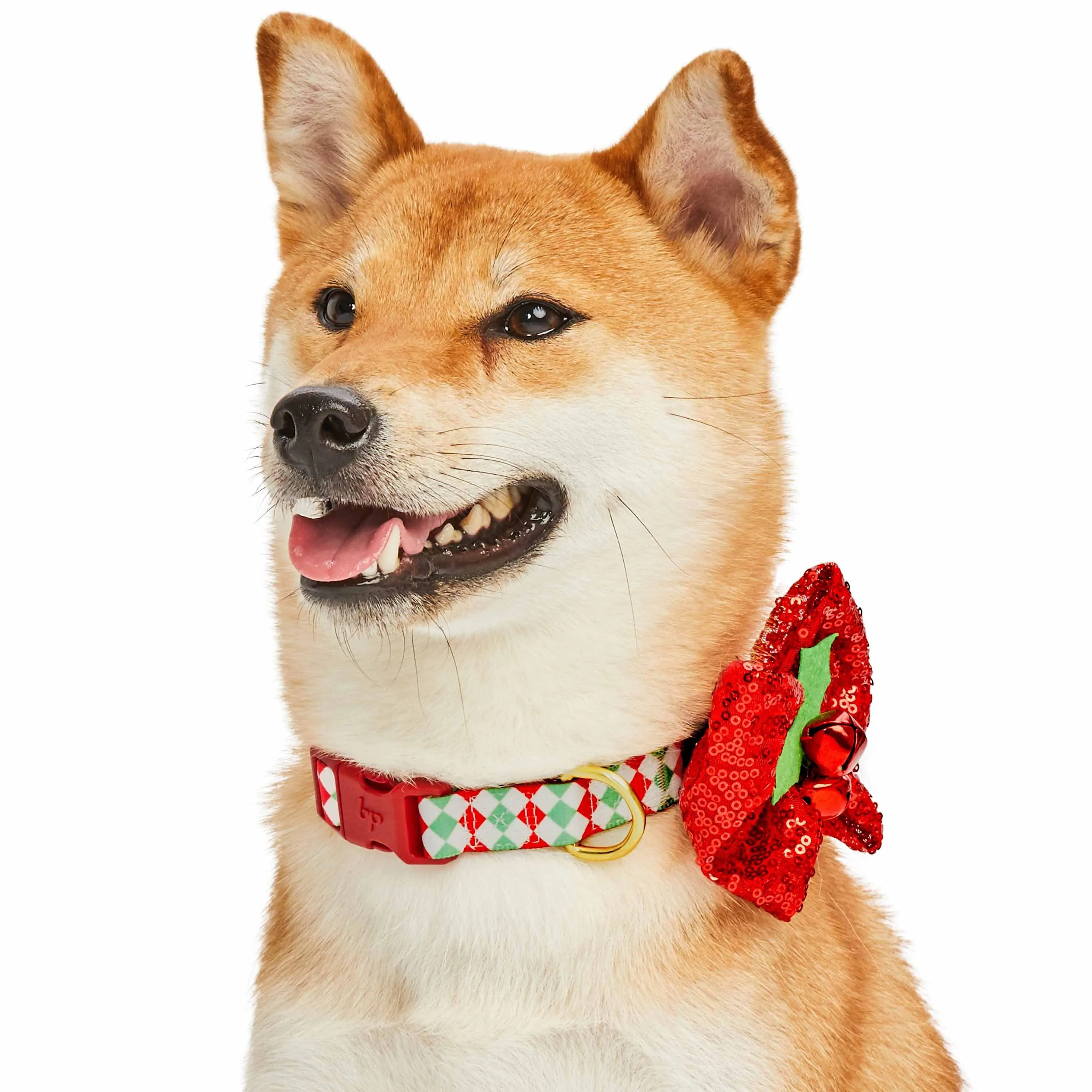 Christmas Dog Collar with Stunning Décor