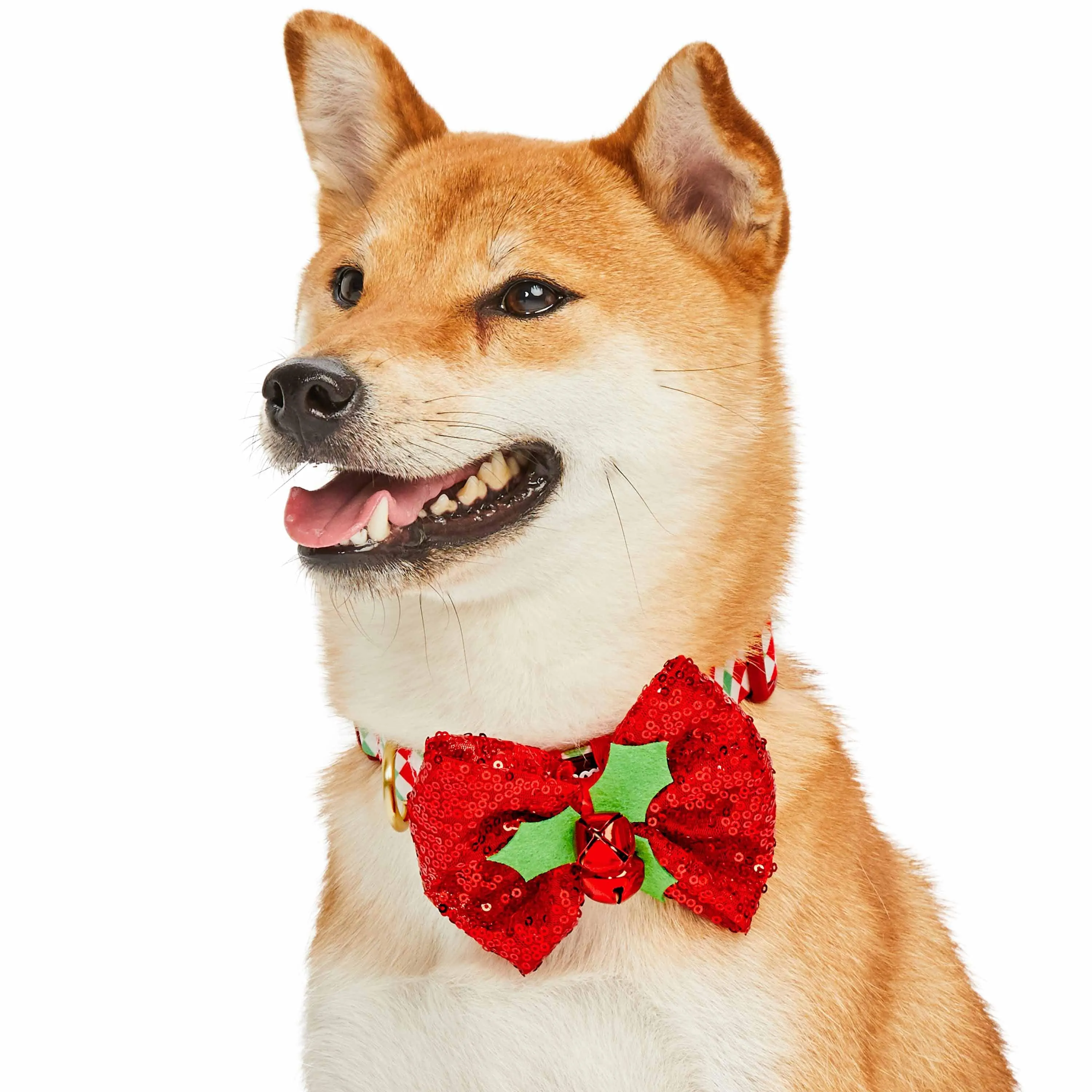 Christmas Dog Collar with Stunning Décor