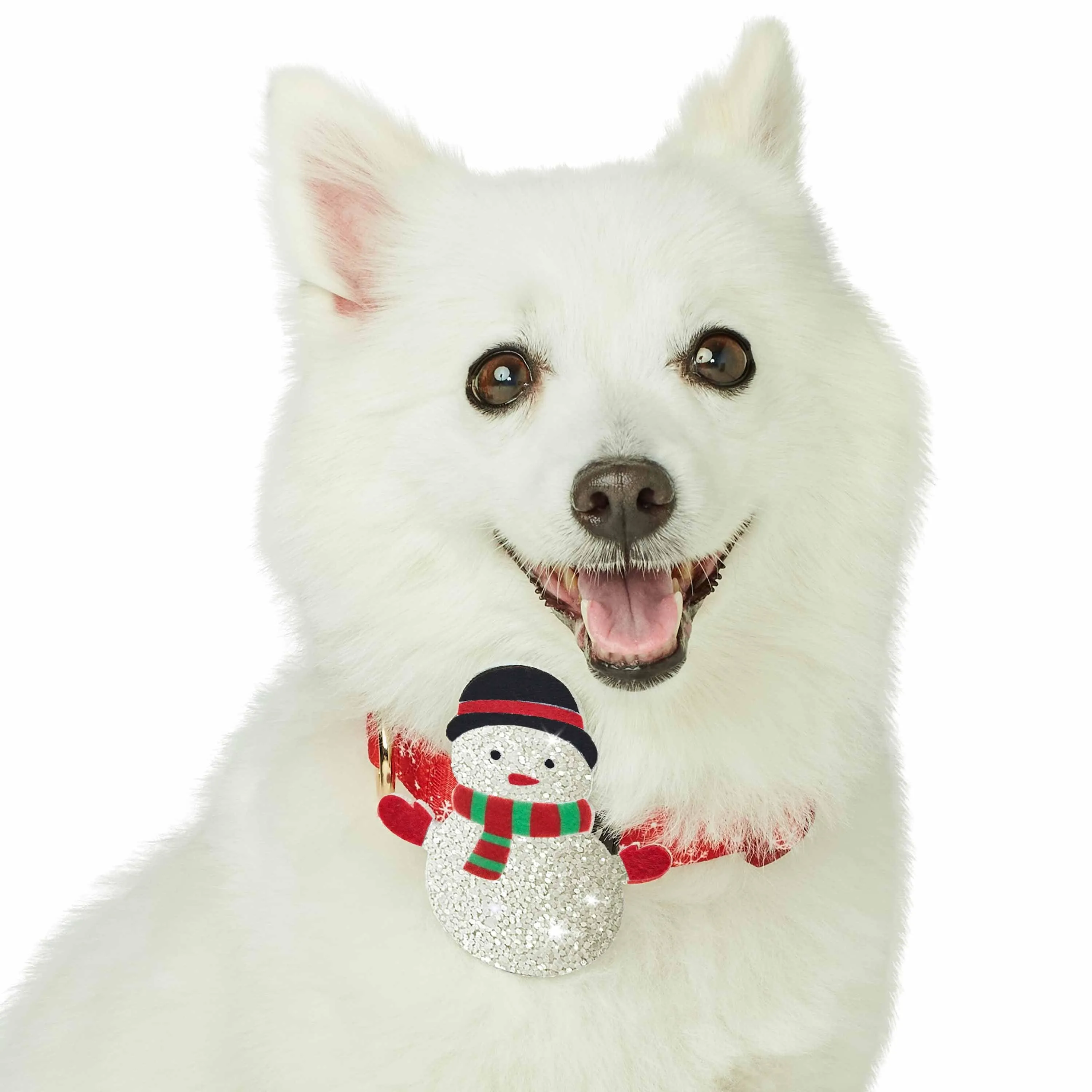 Christmas Dog Collar with Stunning Décor