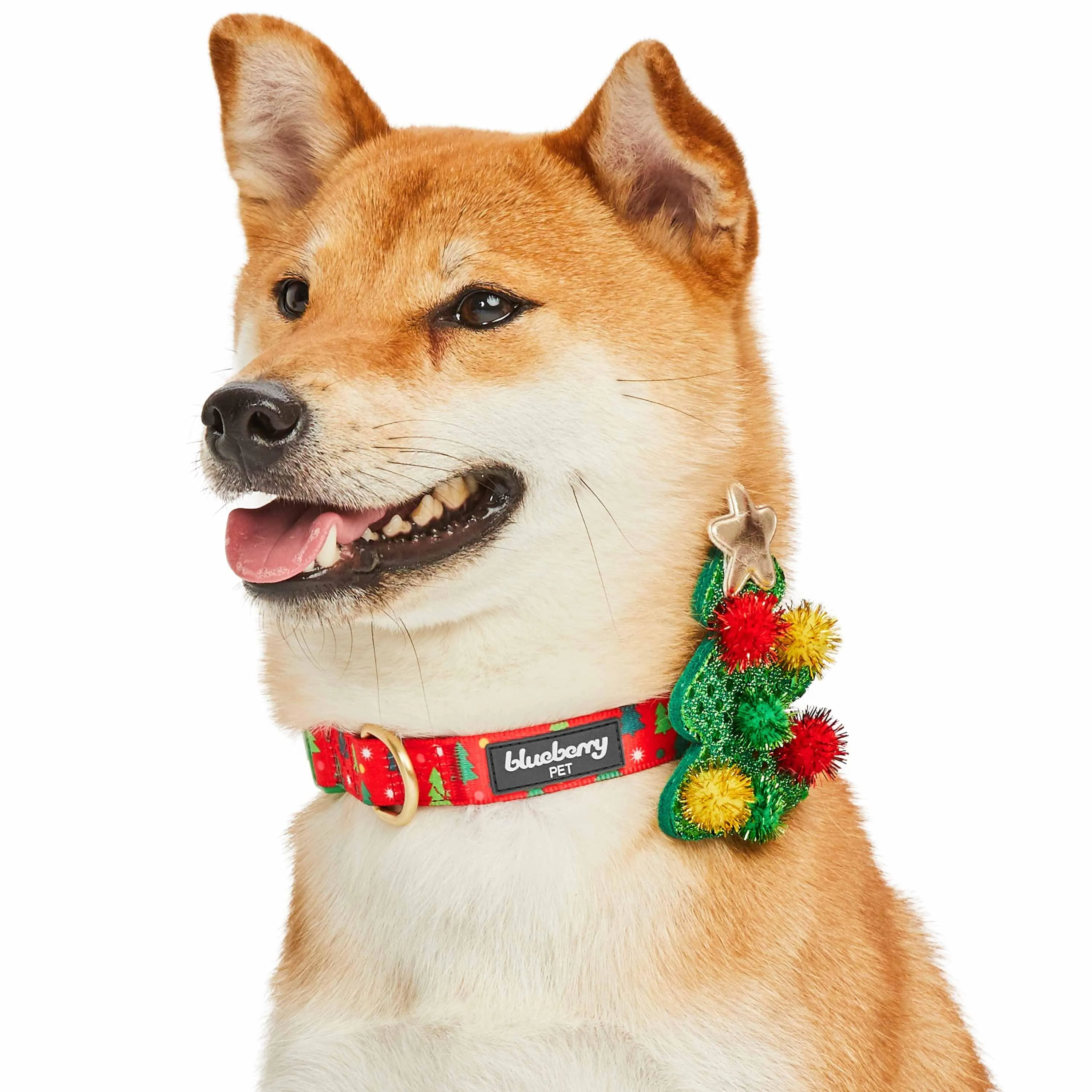 Christmas Dog Collar with Stunning Décor