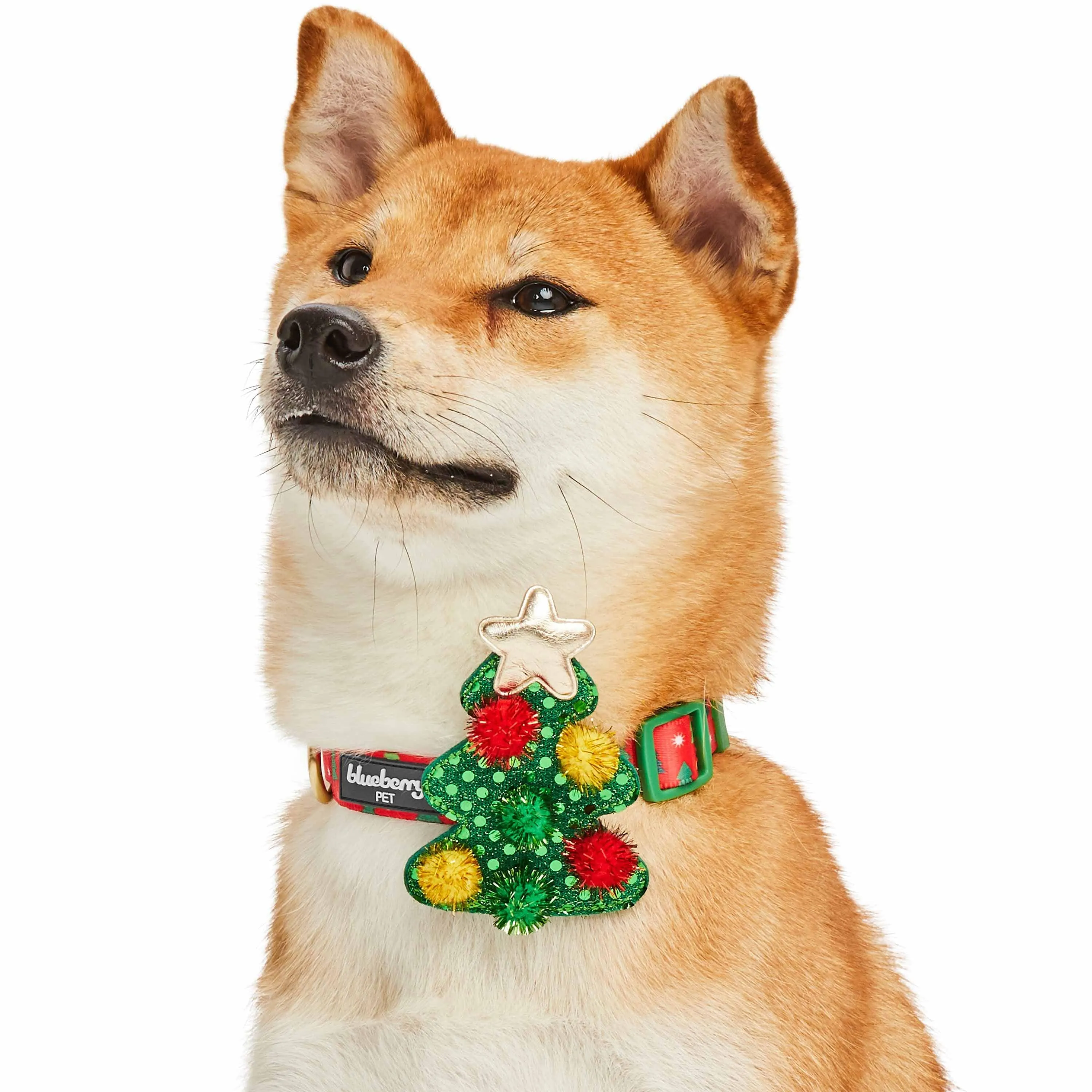 Christmas Dog Collar with Stunning Décor