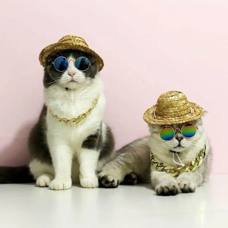 Fashionesque Multicolored Pet Glasses