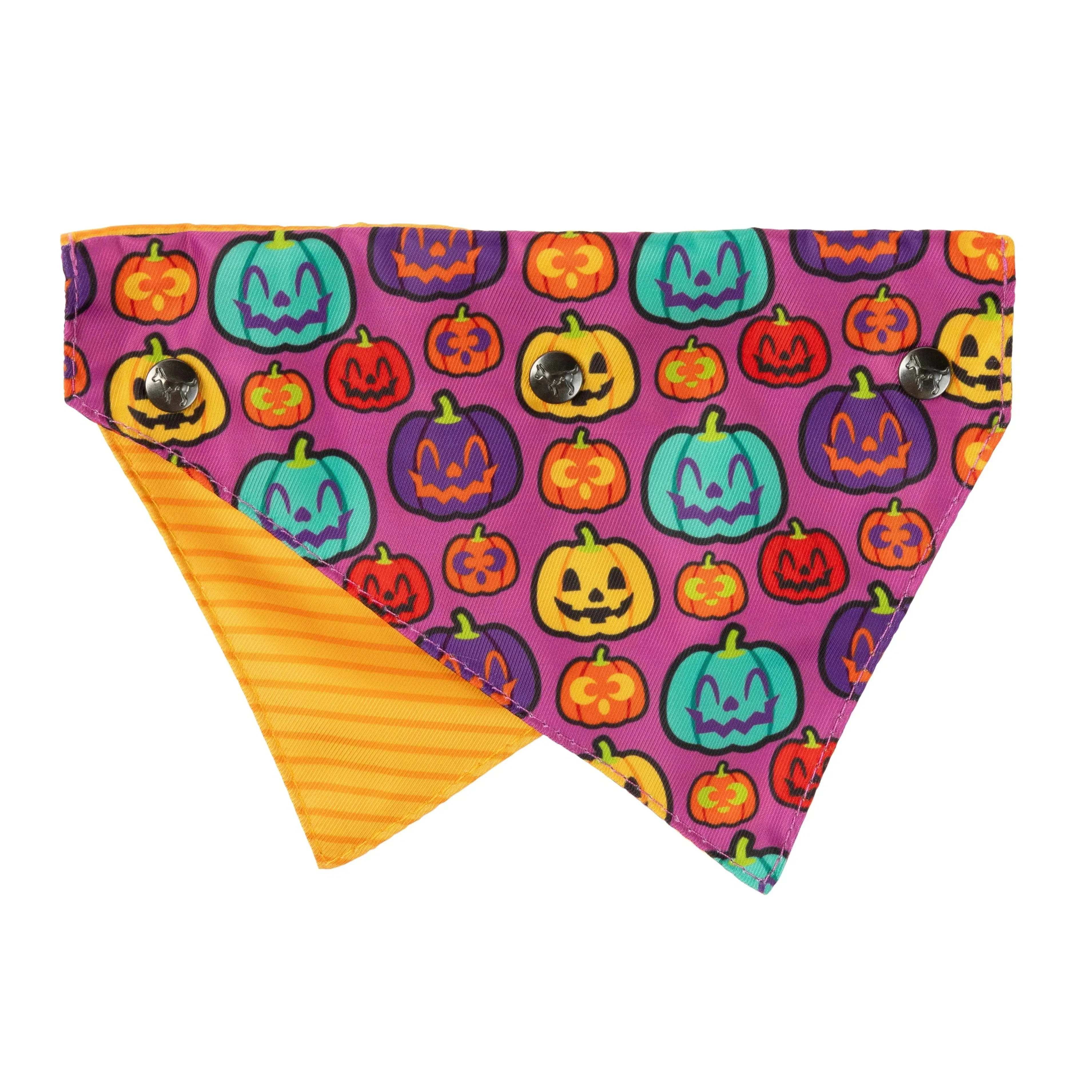 FuzzYard | Oh My Gourd! Halloween Bandana & Bowtie Set