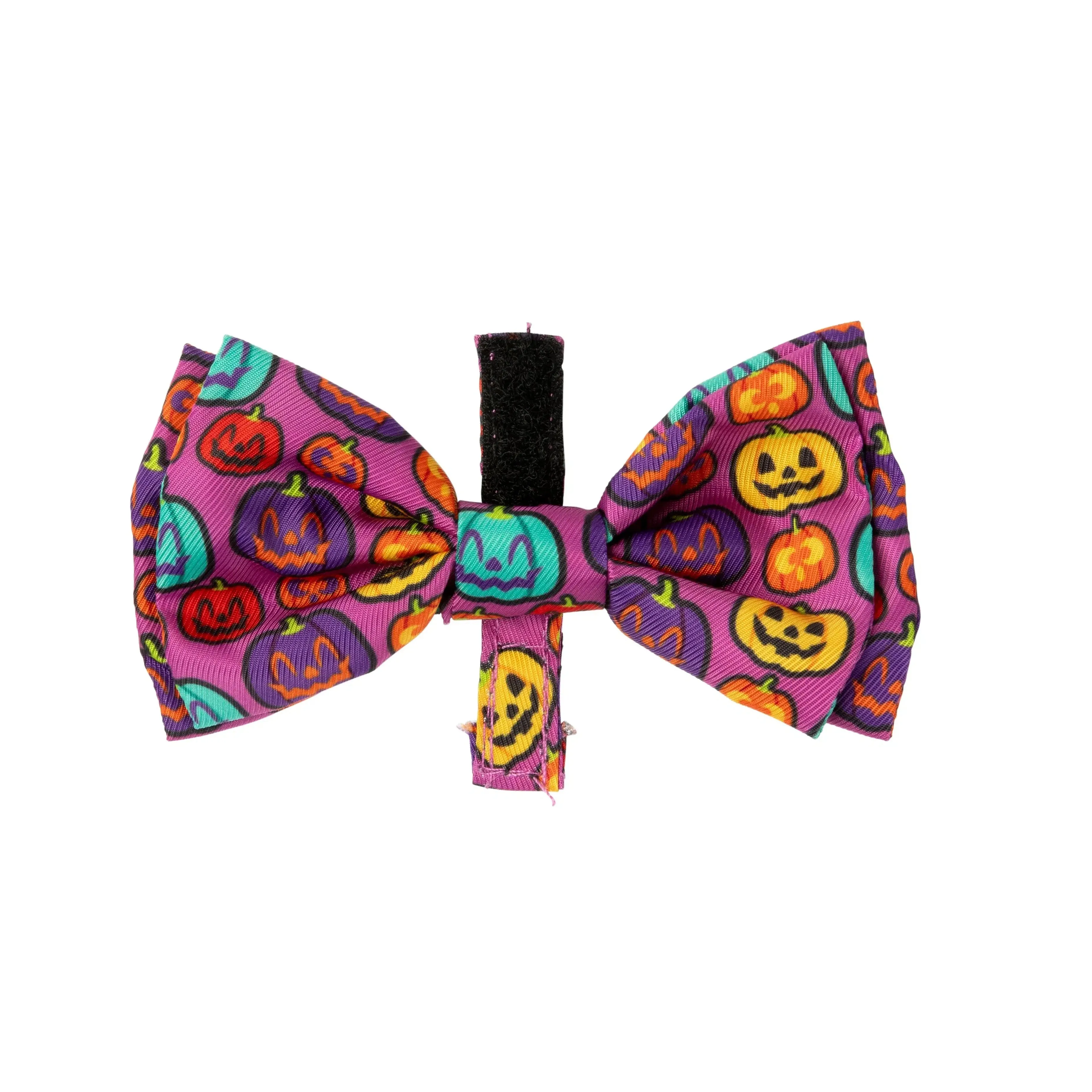 FuzzYard | Oh My Gourd! Halloween Bandana & Bowtie Set