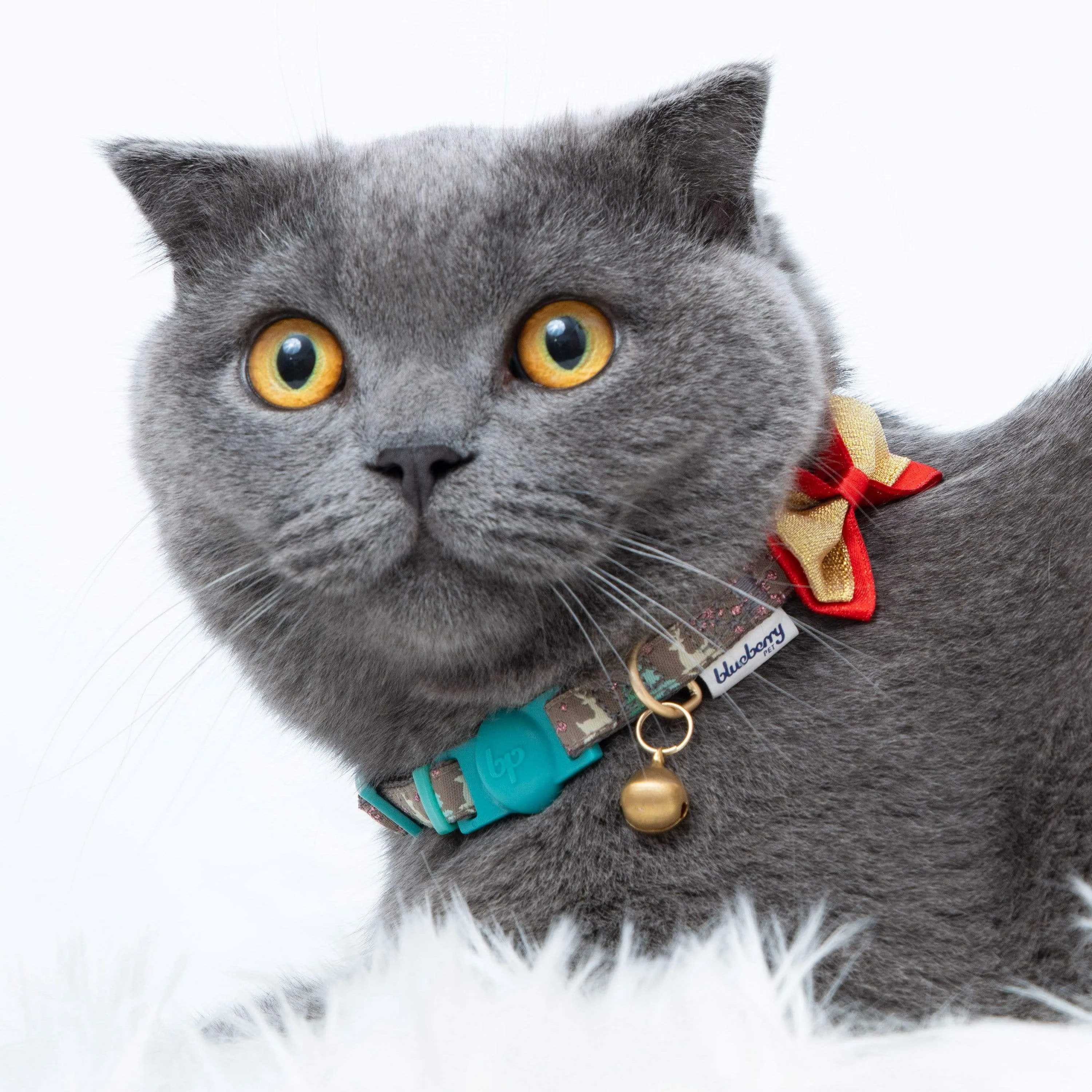 Holiday Fun Cat Collar, 2 Pack