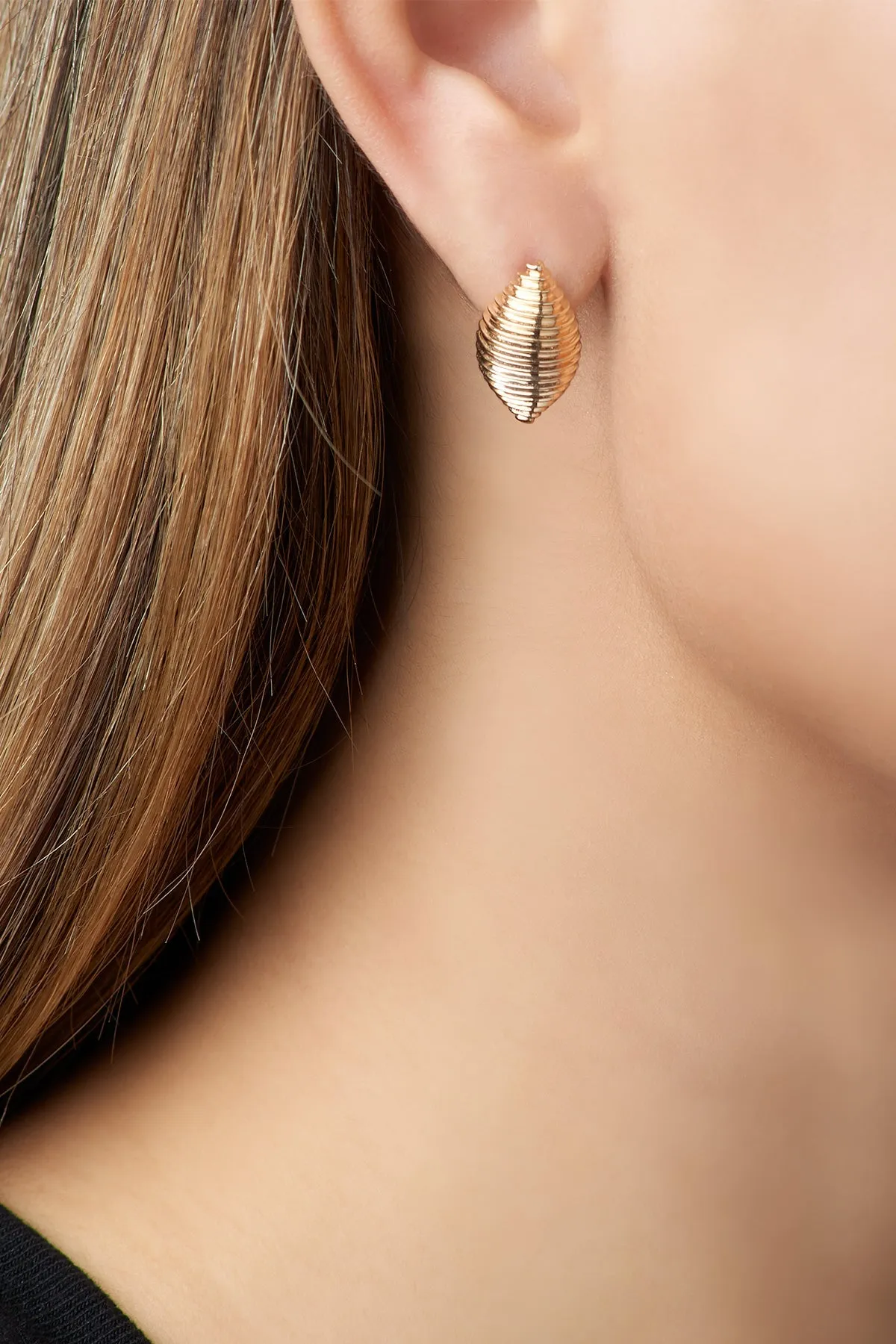 Large Shell Earrings